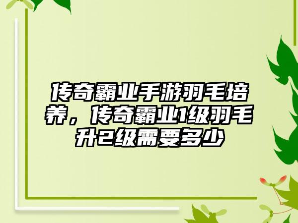 传奇霸业手游羽毛培养，传奇霸业1级羽毛升2级需要多少
