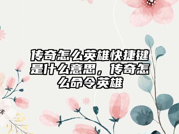 传奇怎么英雄快捷键是什么意思，传奇怎么命令英雄