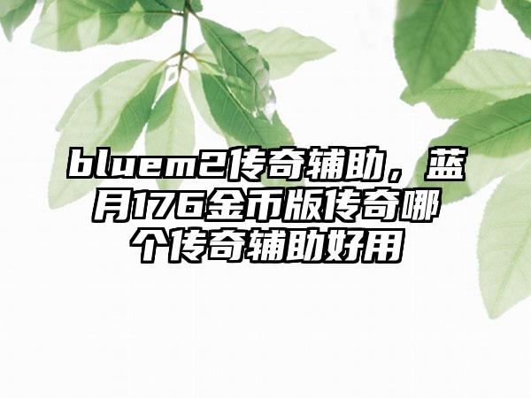 bluem2传奇辅助，蓝月176金币版传奇哪个传奇辅助好用
