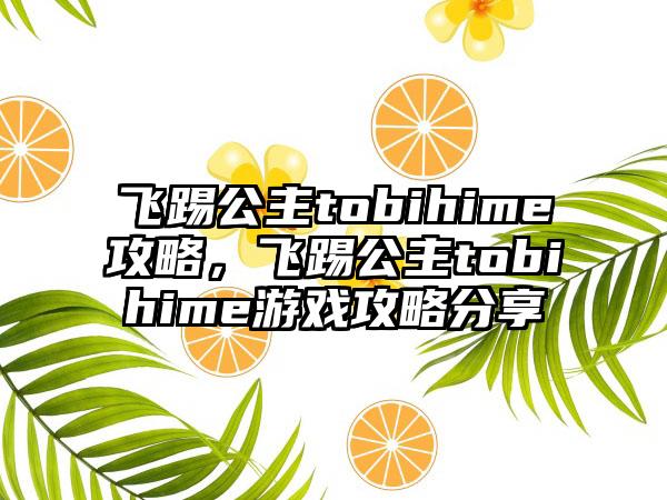 飞踢公主tobihime攻略，飞踢公主tobihime游戏攻略分享