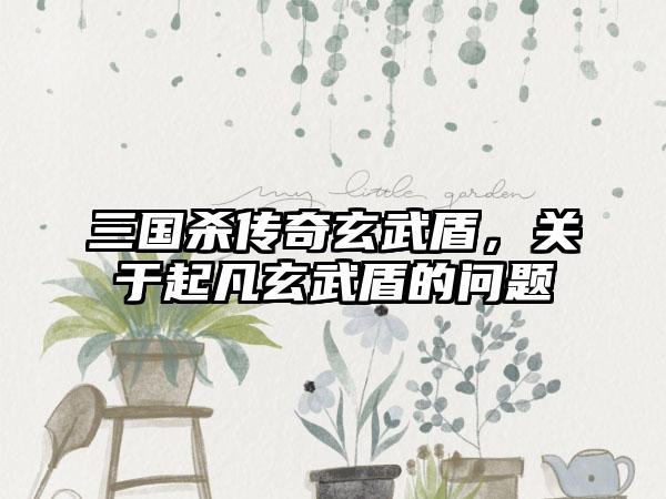 三国杀传奇玄武盾，关于起凡玄武盾的问题