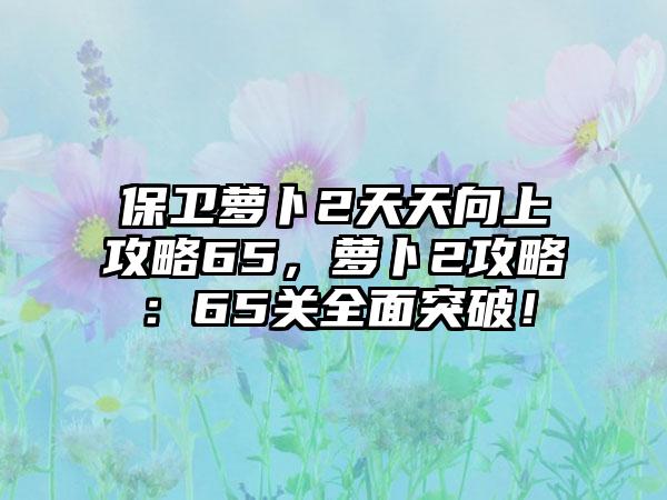 保卫萝卜2天天向上攻略65，萝卜2攻略：65关全面突破！