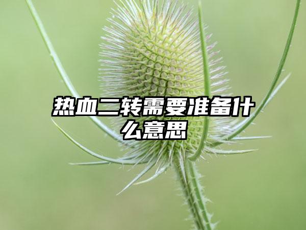 热血二转需要准备什么意思