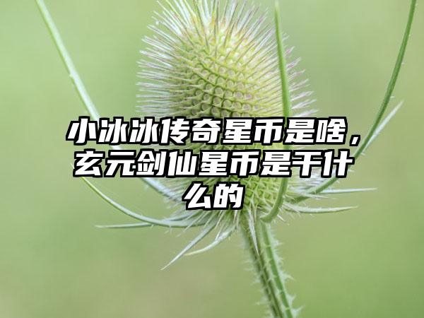 小冰冰传奇星币是啥，玄元剑仙星币是干什么的