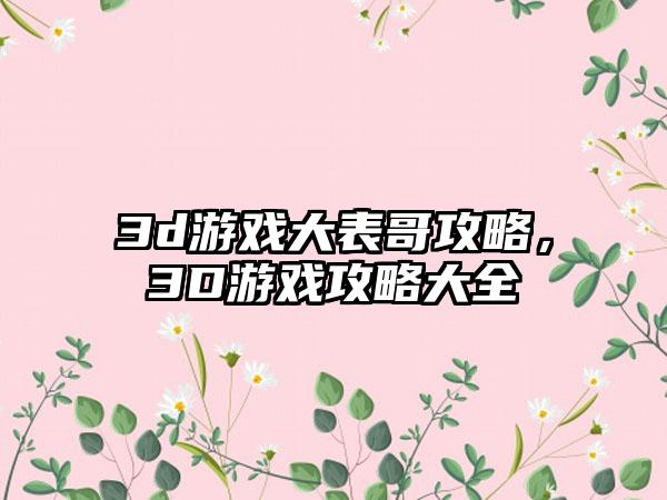 3d游戏大表哥攻略，3D游戏攻略大全