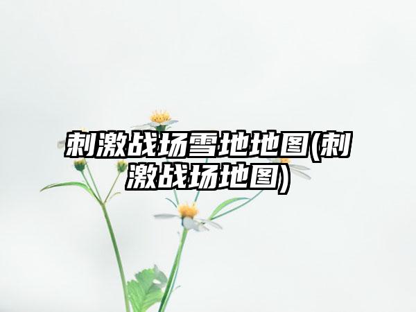 刺激战场雪地地图(刺激战场地图)