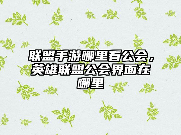 联盟手游哪里看公会，英雄联盟公会界面在哪里