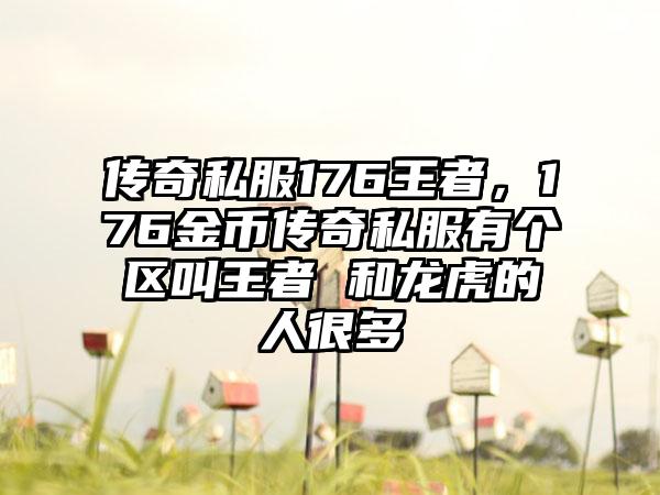 传奇私服176王者，176金币传奇私服有个区叫王者 和龙虎的人很多