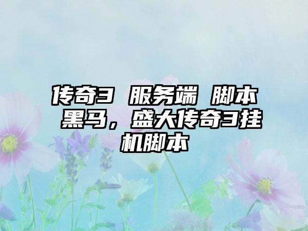 传奇3 服务端 脚本 黑马，盛大传奇3挂机脚本