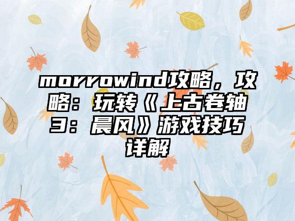 morrowind攻略，攻略：玩转《上古卷轴3：晨风》游戏技巧详解