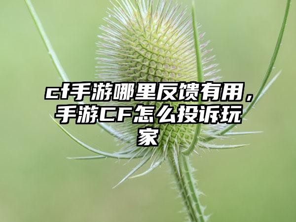 cf手游哪里反馈有用，手游CF怎么投诉玩家