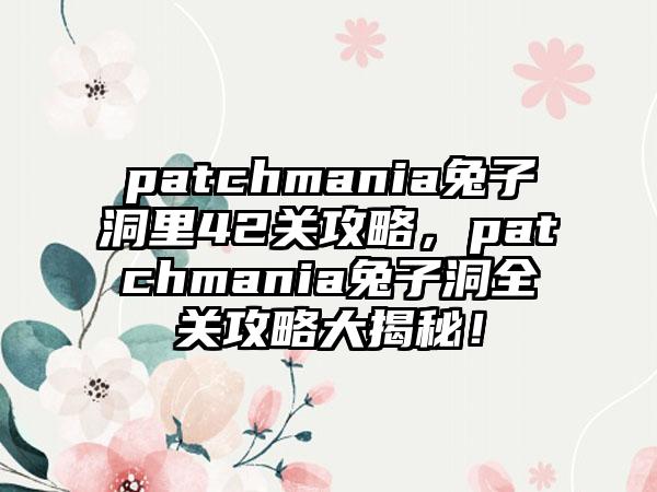 patchmania兔子洞里42关攻略，patchmania兔子洞全关攻略大揭秘！