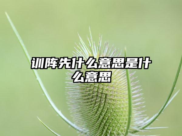 训阵先什么意思是什么意思