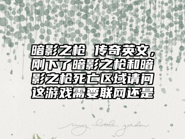 暗影之枪 传奇英文，刚下了暗影之枪和暗影之枪死亡区域请问这游戏需要联网还是
