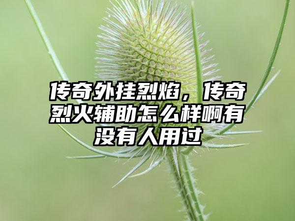 传奇外挂烈焰，传奇烈火辅助怎么样啊有没有人用过