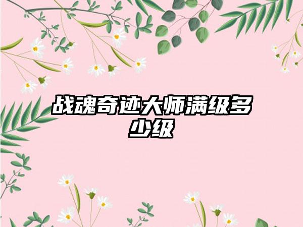 战魂奇迹大师满级多少级
