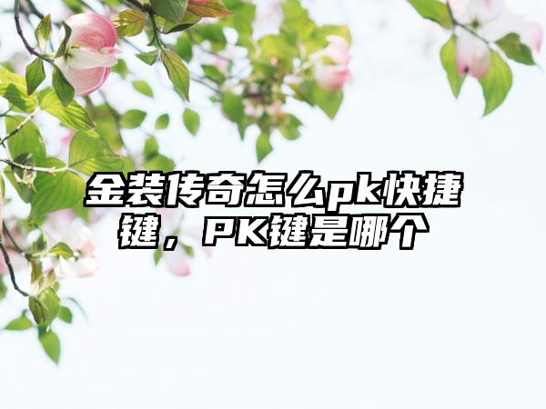 金装传奇怎么pk快捷键，PK键是哪个