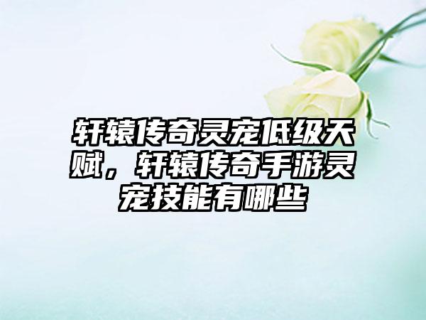 轩辕传奇灵宠低级天赋，轩辕传奇手游灵宠技能有哪些