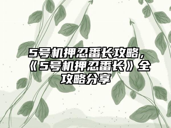 5号机押忍番长攻略，《5号机押忍番长》全攻略分享