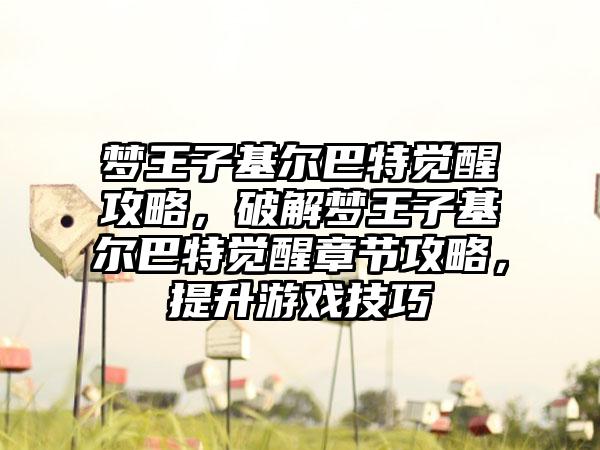 梦王子基尔巴特觉醒攻略，破解梦王子基尔巴特觉醒章节攻略，提升游戏技巧