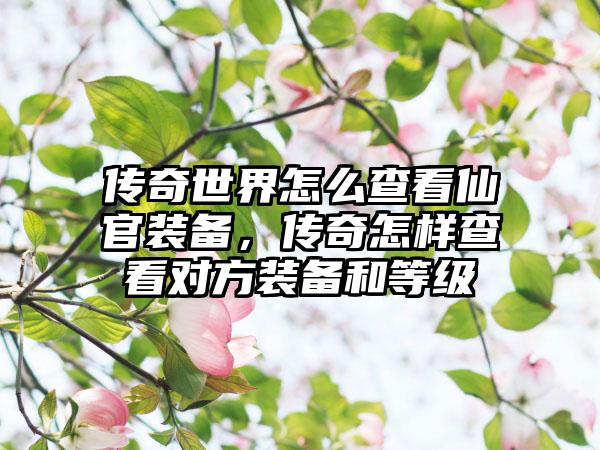 传奇世界怎么查看仙官装备，传奇怎样查看对方装备和等级
