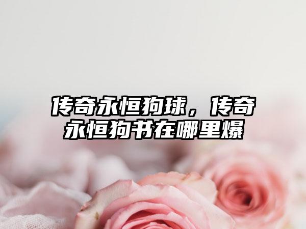 传奇永恒狗球，传奇永恒狗书在哪里爆