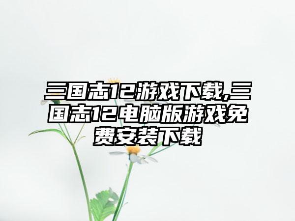 三国志12游戏下载,三国志12电脑版游戏免费安装下载