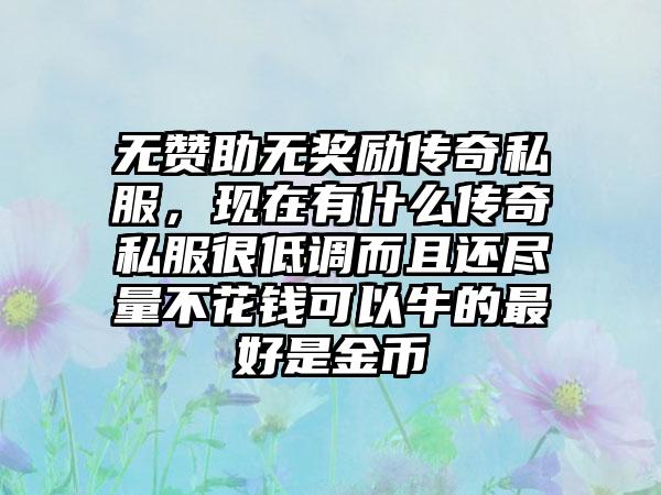 无赞助无奖励传奇私服，现在有什么传奇私服很低调而且还尽量不花钱可以牛的最好是金币