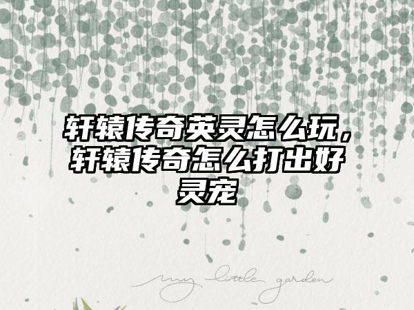 轩辕传奇英灵怎么玩，轩辕传奇怎么打出好灵宠