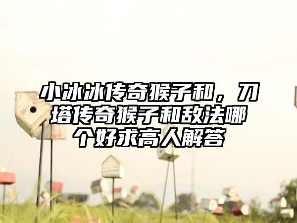 小冰冰传奇猴子和，刀塔传奇猴子和敌法哪个好求高人解答