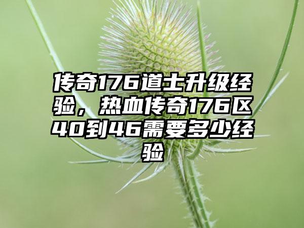传奇176道士升级经验，热血传奇176区40到46需要多少经验