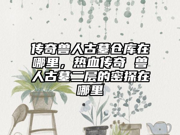 传奇兽人古墓仓库在哪里，热血传奇 兽人古墓二层的密探在哪里