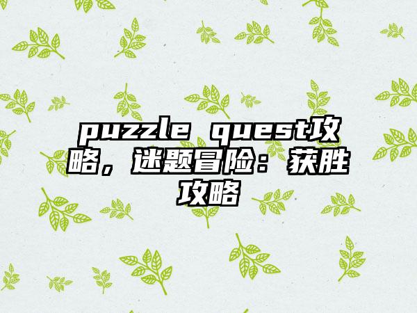 puzzle quest攻略，迷题冒险：获胜攻略