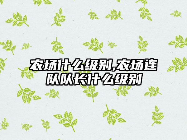 农场什么级别,农场连队队长什么级别