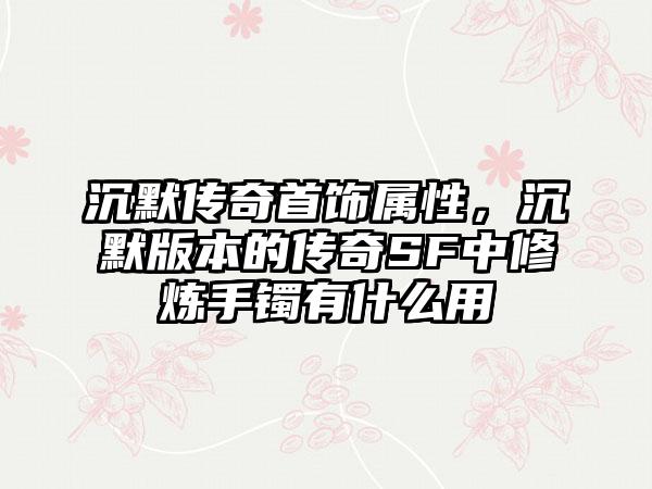 沉默传奇首饰属性，沉默版本的传奇SF中修炼手镯有什么用