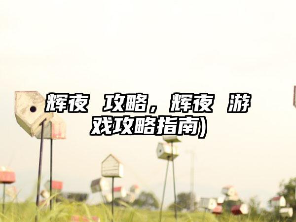 辉夜 攻略，辉夜 游戏攻略指南)