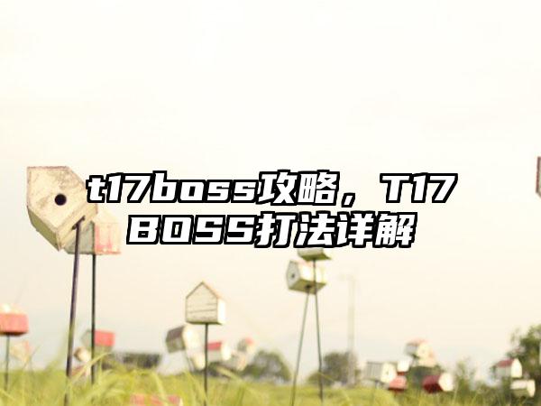 t17boss攻略，T17BOSS打法详解