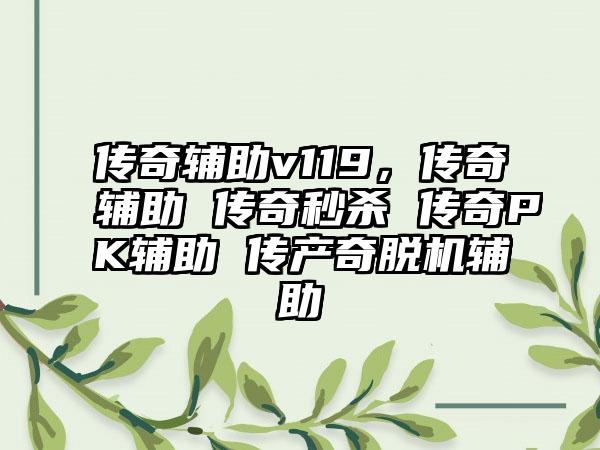 传奇辅助v119，传奇辅助 传奇秒杀 传奇PK辅助 传产奇脱机辅助