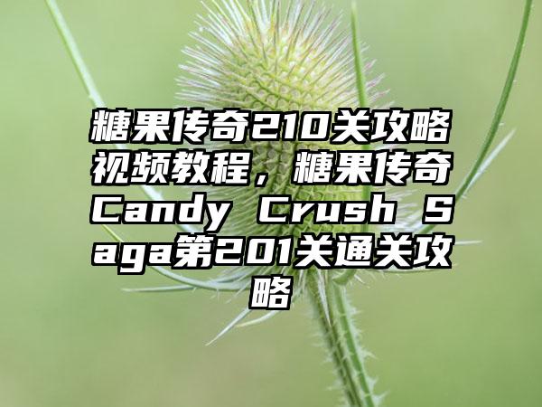 糖果传奇210关攻略视频教程，糖果传奇Candy Crush Saga第201关通关攻略