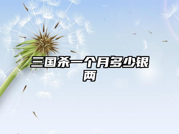 三国杀一个月多少银两