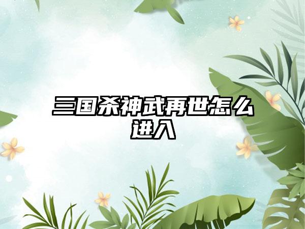 三国杀神武再世怎么进入