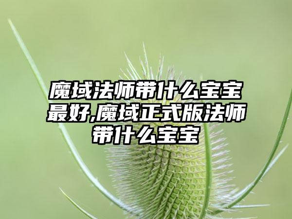 魔域法师带什么宝宝最好,魔域正式版法师带什么宝宝