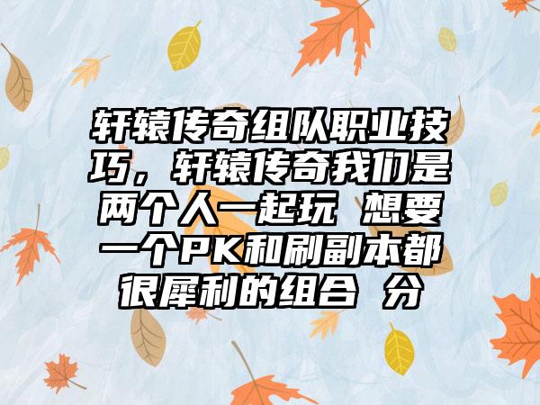 轩辕传奇组队职业技巧，轩辕传奇我们是两个人一起玩 想要一个PK和刷副本都很犀利的组合 分
