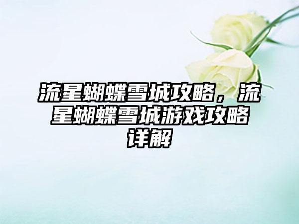 流星蝴蝶雪城攻略，流星蝴蝶雪城游戏攻略详解