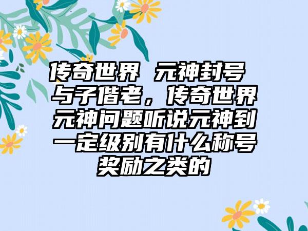 传奇世界 元神封号 与子偕老，传奇世界元神问题听说元神到一定级别有什么称号奖励之类的