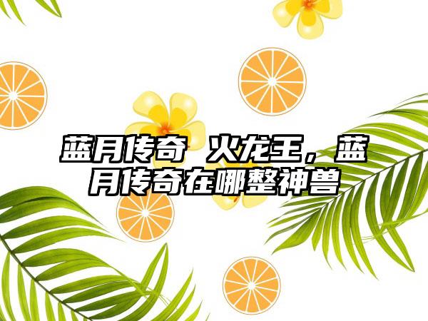 蓝月传奇 火龙王，蓝月传奇在哪整神兽