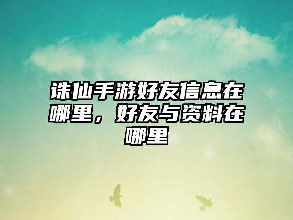 诛仙手游好友信息在哪里，好友与资料在哪里