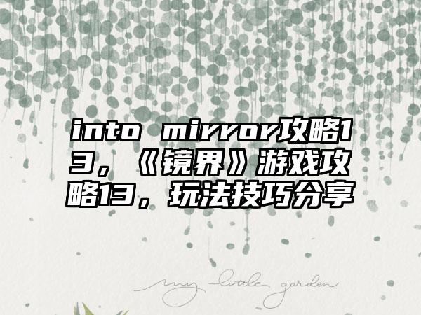 into mirror攻略13，《镜界》游戏攻略13，玩法技巧分享