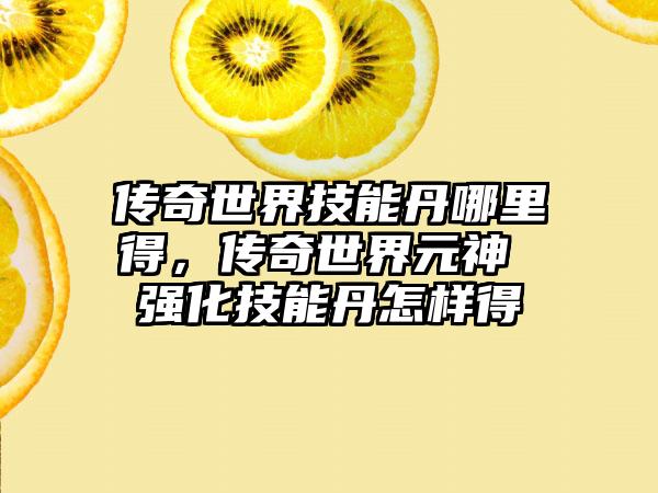 传奇世界技能丹哪里得，传奇世界元神 强化技能丹怎样得