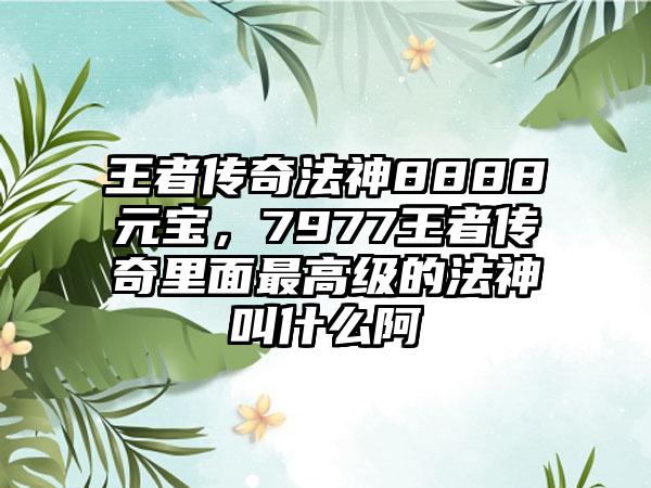 王者传奇法神8888元宝，7977王者传奇里面最高级的法神叫什么阿